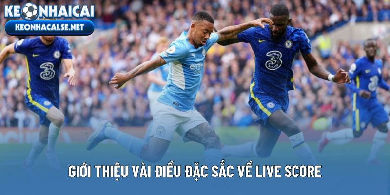 Giới thiệu vài điều đặc sắc về Live score